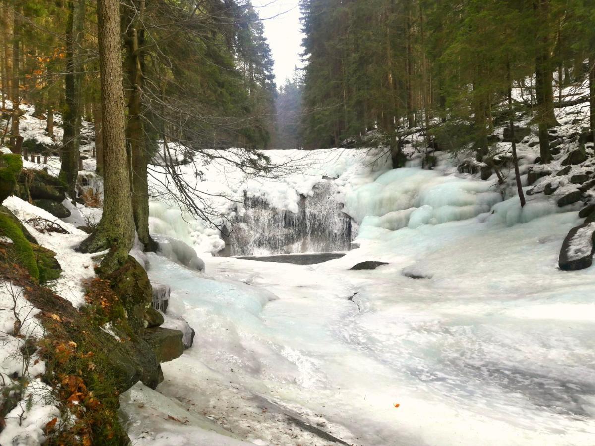 Pension Renata Harrachov Buitenkant foto
