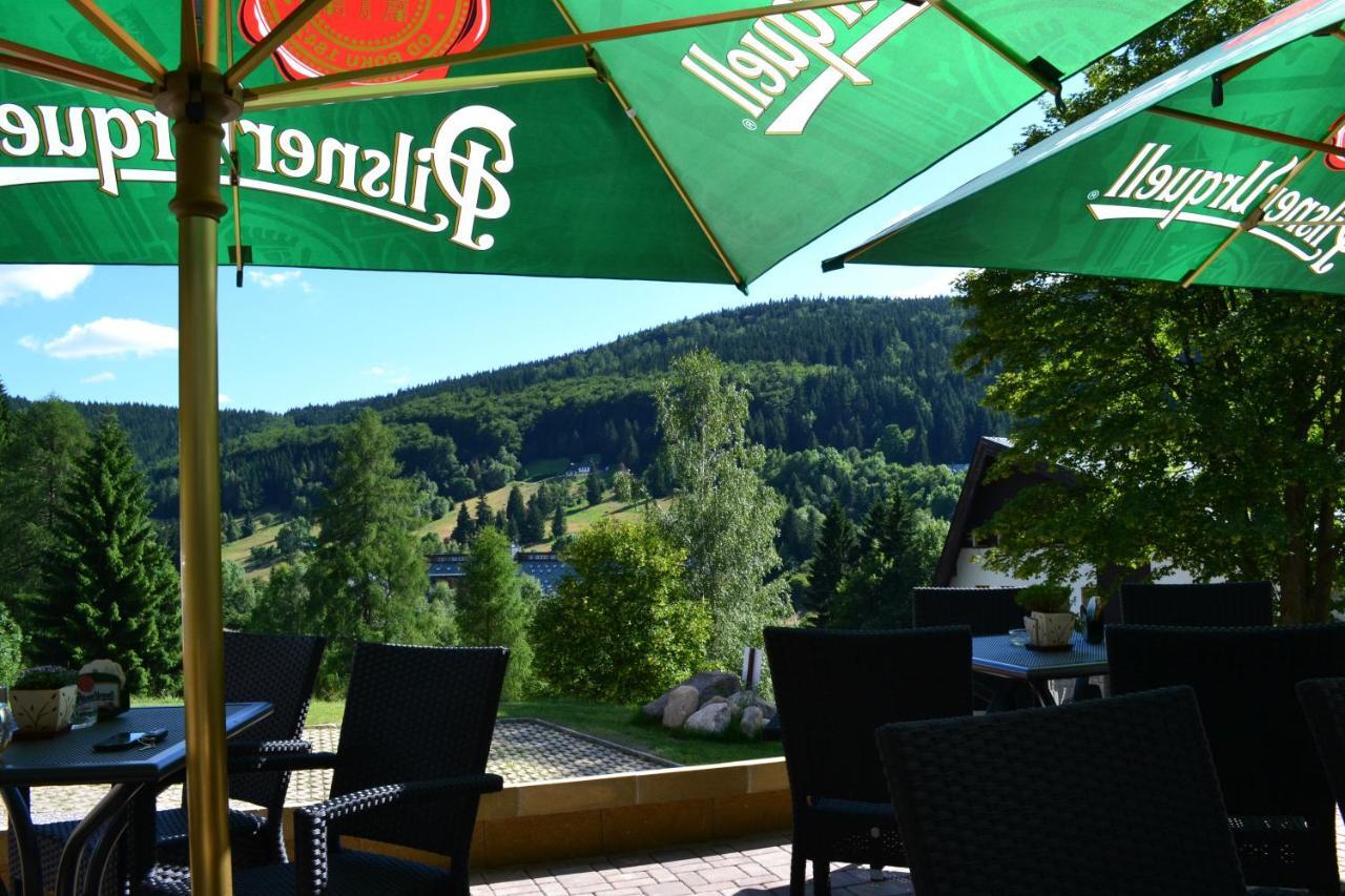 Pension Renata Harrachov Buitenkant foto